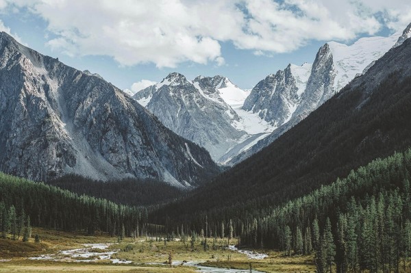 别再被带偏了，糖心vlog免费网页版入口，深入解析内容补充与观众互动