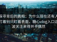 探寻背后的真相：为什么现在还有人盯着别只盯着表面，糖心vlog入口这波关注来得并不偶然