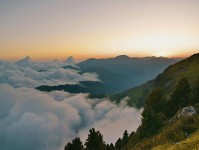 探索糖心官网vlog：深入理解节奏变化背后的故事