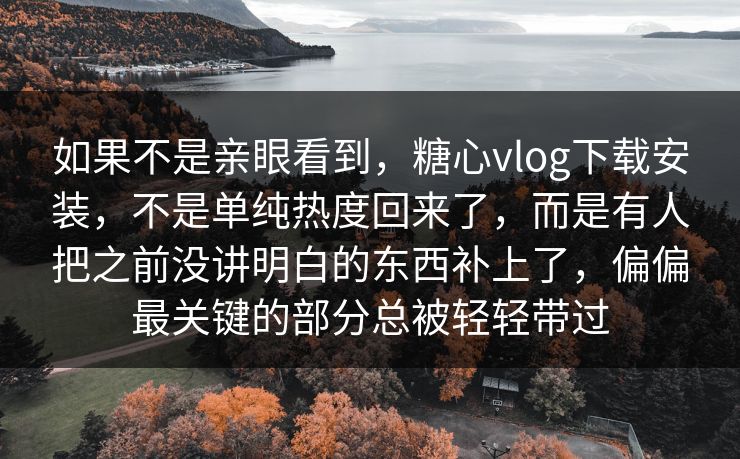如果不是亲眼看到，糖心vlog下载安装，不是单纯热度回来了，而是有人把之前没讲明白的东西补上了，偏偏最关键的部分总被轻轻带过